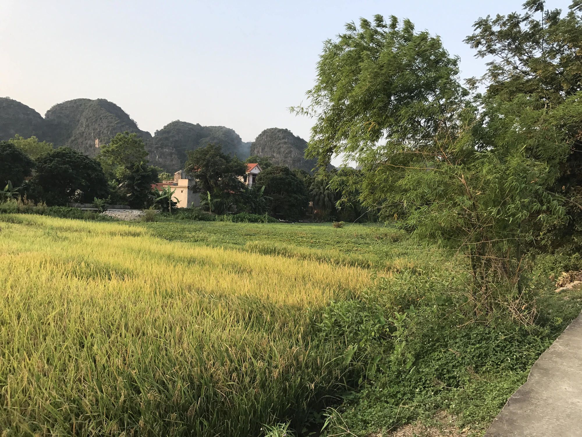 Tam Coc Garden Homestay Ninh Binh Dış mekan fotoğraf