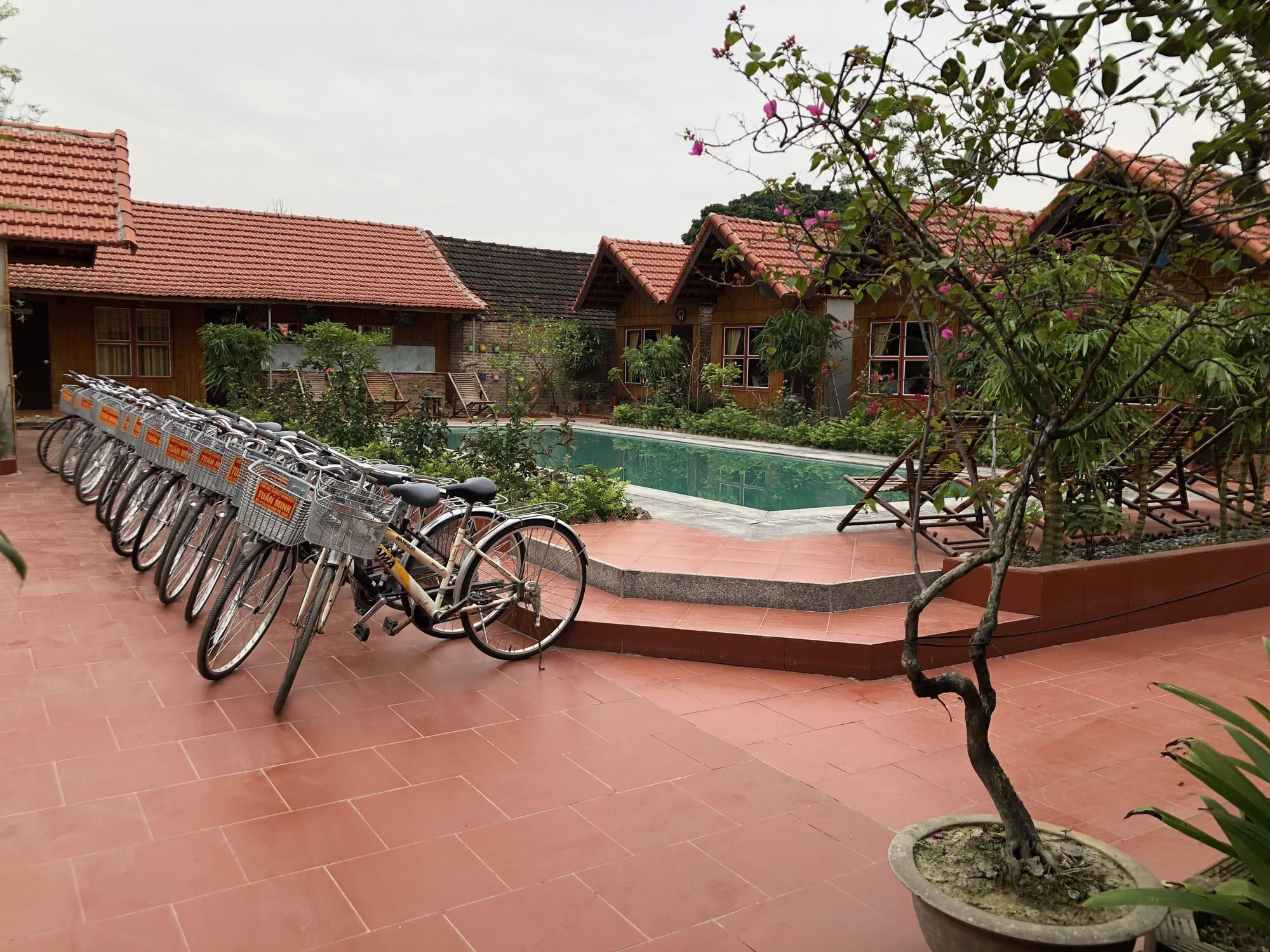 Tam Coc Garden Homestay Ninh Binh Dış mekan fotoğraf