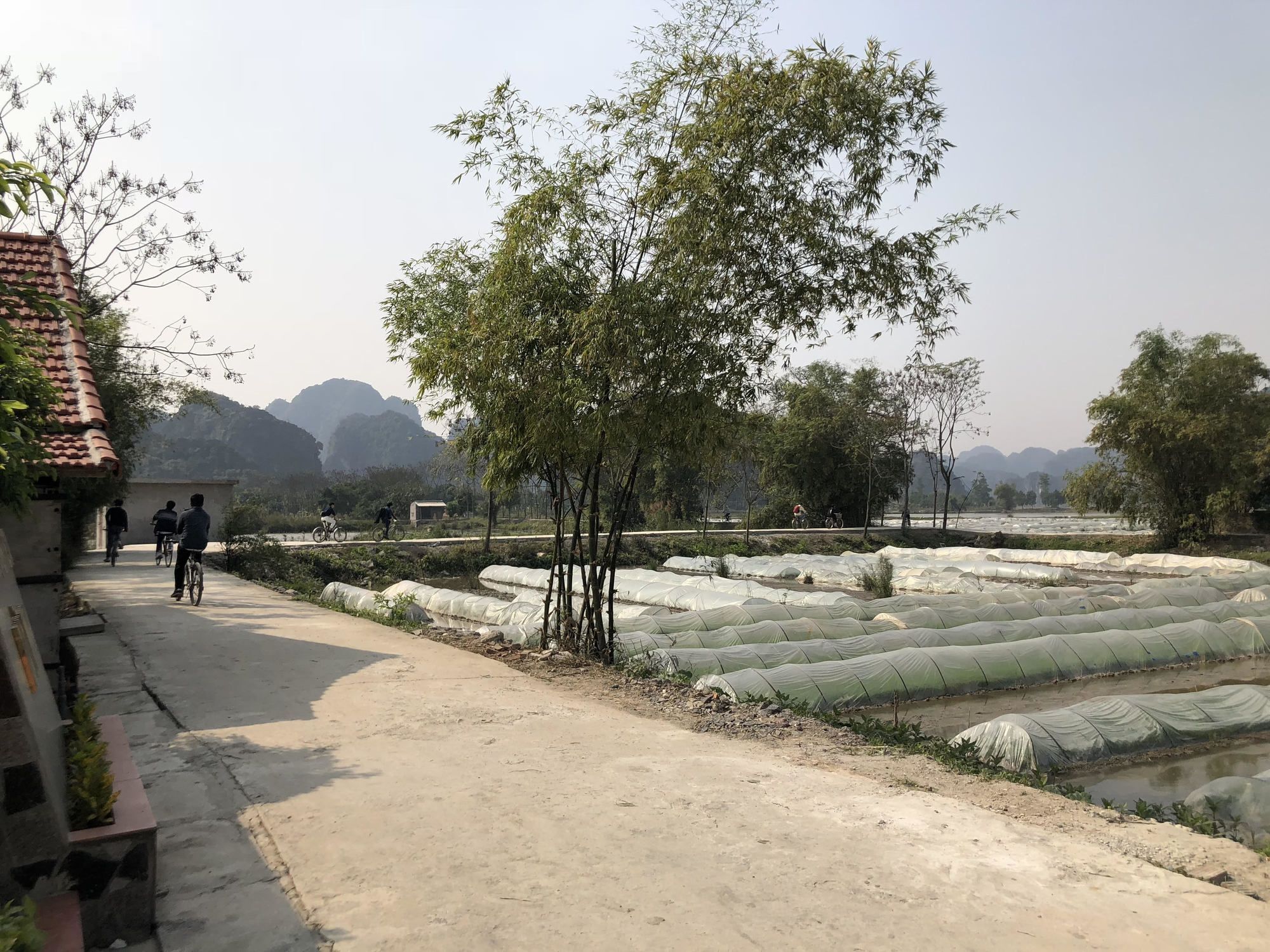 Tam Coc Garden Homestay Ninh Binh Dış mekan fotoğraf