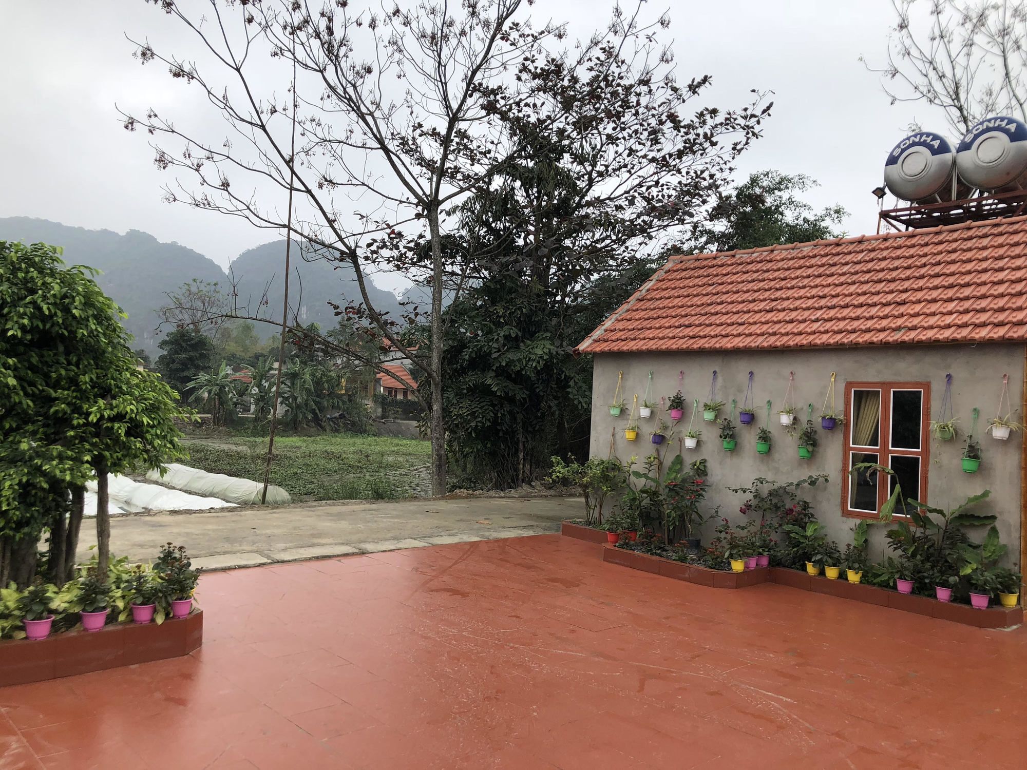 Tam Coc Garden Homestay Ninh Binh Dış mekan fotoğraf